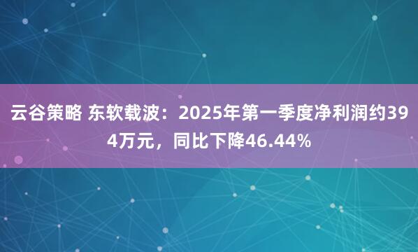 云谷策略 东软载波：2025年第一季度净利润约394万元，同比下降46.44%
