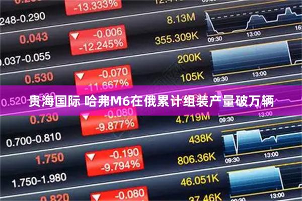 贵海国际 哈弗M6在俄累计组装产量破万辆