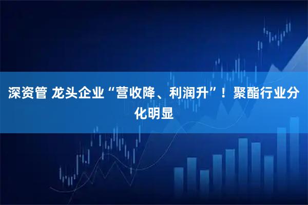 深资管 龙头企业“营收降、利润升”!聚酯行业分化明显